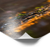 Impression Photo Chiot (Coin)