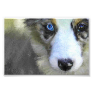 Impression Photo Chiot australien 1