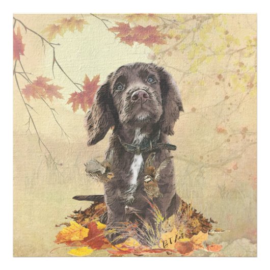 Impression Photo chiot cocker spaniel chocolat (Devant)