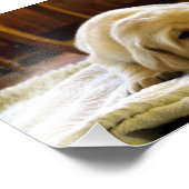 Impression Photo chiot jaune 2 labo (Coin)