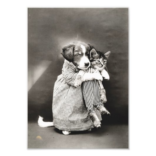 Impression Photo Chiot tenant Petit Kitten (Devant)