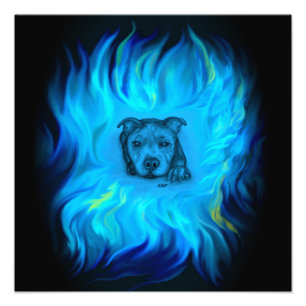 Impression Photo Chiots Staffy Bleu