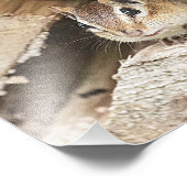 Impression Photo Chipmunk dans une pile de bois (Coin)