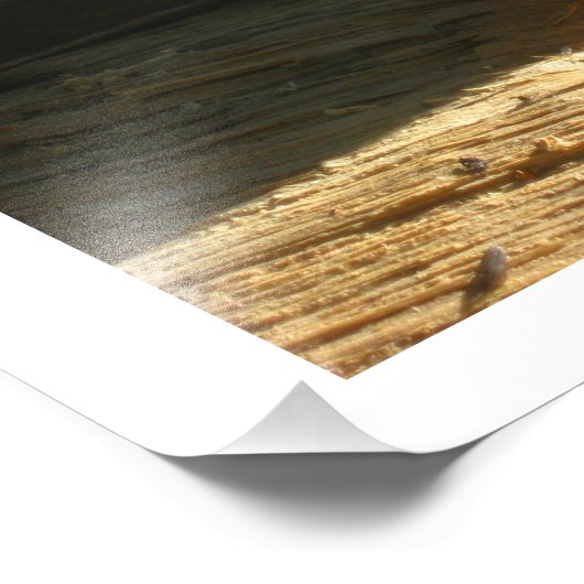 Impression Photo Chipmunk Mange Graines (Coin)