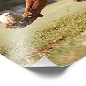 Impression Photo Chocolat Lab Pit Mix Chien Chasse Ball (Coin)