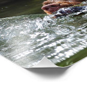 Impression Photo Chocolat Lab Pit Mix Chien Natation 5 (Coin)