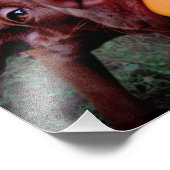 Impression Photo Chocolat Lab Pit Puppy Tugging Ball (Coin)