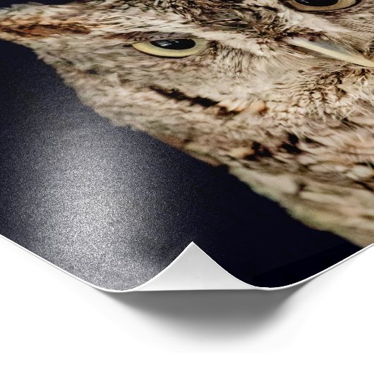 Impression Photo Chouette (Coin)