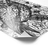 Impression Photo Chouette (Coin)