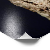 Impression Photo Chouette (Coin)