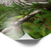 Impression Photo Chouette 8X10 barrée (Coin)