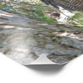 Impression Photo Chouette à grande corne (Coin)