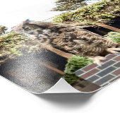 Impression Photo Chouette à grande corne (Coin)