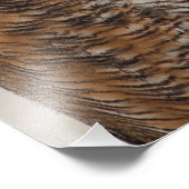 Impression Photo Chouette à grande corne (Coin)