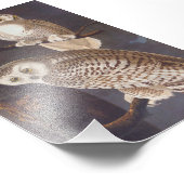 Impression Photo Chouette blanche neige à la nuit Audubon Art Vinta (Coin)