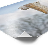 Impression Photo Chouette en vol (Coin)