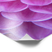 Impression Photo Chrysanthemum fleur décoration site de sépulture d (Coin)