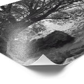 Impression Photo Chute de Tree over Water (Coin)