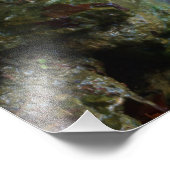 Impression Photo Chute d'eau (Coin)