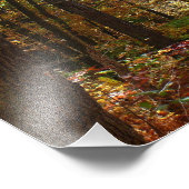 Impression Photo Chute Sunlit dans le parc national de Laurel Hill (Coin)