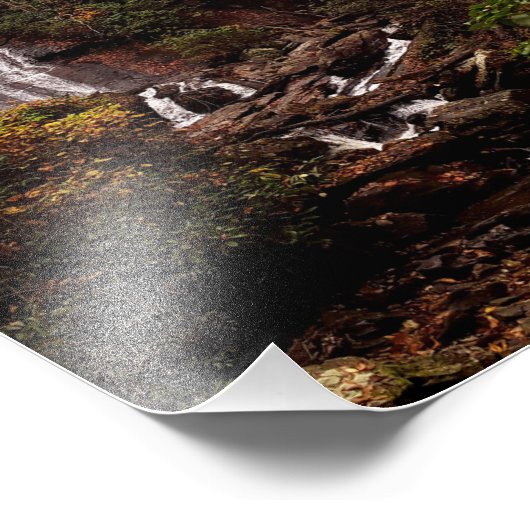 Impression Photo Chutes Anna Ruby (Coin)