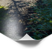 Impression Photo Chutes Brandywine (Coin)