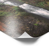 Impression Photo Chutes Multnomah (Coin)