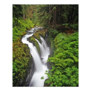 Impression Photo Chutes Sol Duc dans le parc national Olympique en
