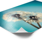 Impression Photo Ciel bleu Dandelion (Coin)