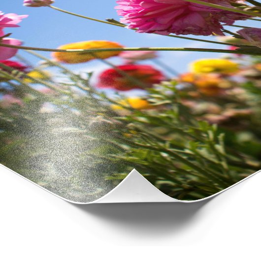 Impression Photo Ciels fleuris (Coin)