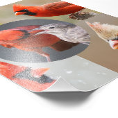 Impression Photo Cinq Belles Cardinales du Nord (Coin)