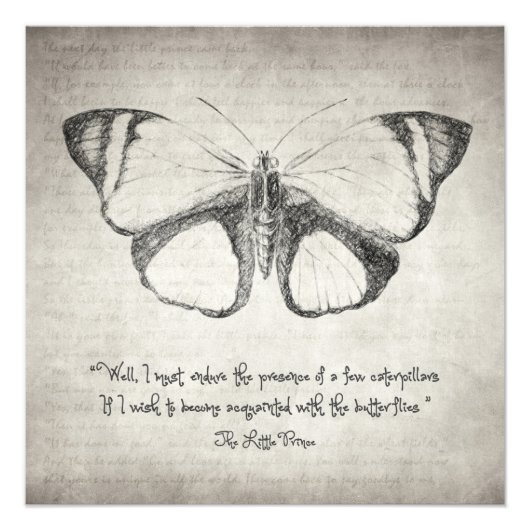 Impression Photo Citation de papillon (Devant)
