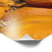 Impression Photo Citrouilles à la ferme en automne près de Concord, (Coin)