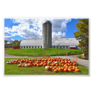 Impression Photo Citrouilles à vendre à Pennsylvania Farm Grange