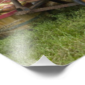 Impression Photo Citrouilles en vieux wagon (Coin)