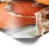 Impression Photo Citrouilles Et Étapes De Maïs Séché Automne 8x10 (Coin)