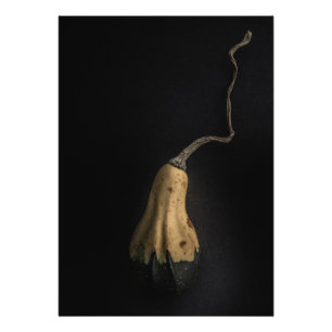 Impression Photo Citrouilles N° 12 Version couleur