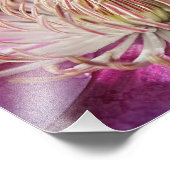 Impression Photo Clematis Closeup Violet (Coin)