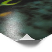 Impression Photo Closeup de crapaud Bellied Fire (Coin)