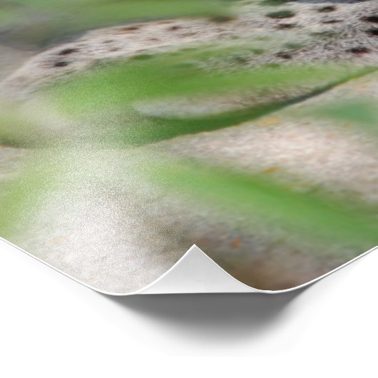 Impression Photo Closeup d'ocelot (Coin)