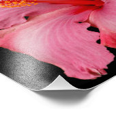 Impression Photo Closeup d'un magnifique Hibiscus rose (Coin)