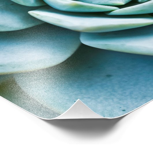 Impression Photo Closeup Succulent (Coin)