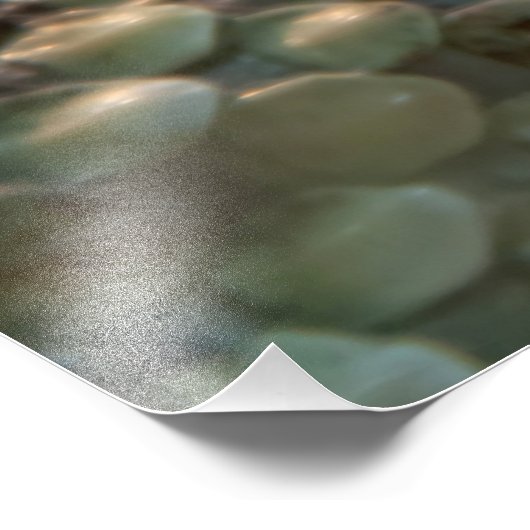 Impression Photo Closeuse de crotale (Coin)