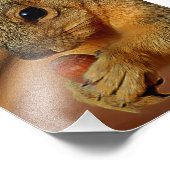 Impression Photo Closeuse d'écureuil avec la noix (Coin)