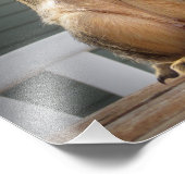 Impression Photo Closeuse d'écureuil mignon avec noix 3 (Coin)