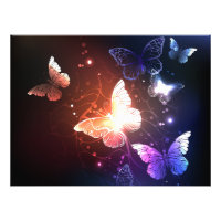 Clowing Night Butterflies