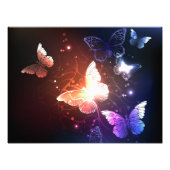 Impression Photo Clowing Night Butterflies (Devant)