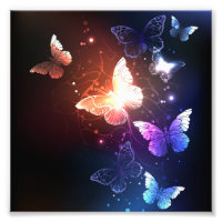 Clowing Night Butterflies