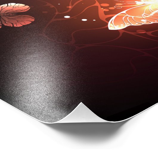 Impression Photo Clowing Night Butterflies (Coin)