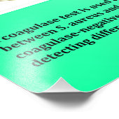 Impression Photo Coagulase (Coin)